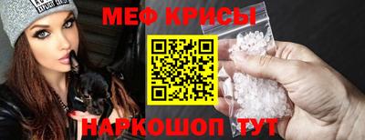 стаф Кингисепп