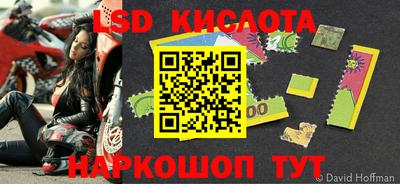 стаф Кингисепп