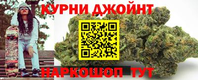 стаф Кингисепп