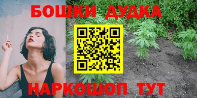 стаф Кингисепп