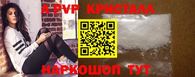стаф Кингисепп