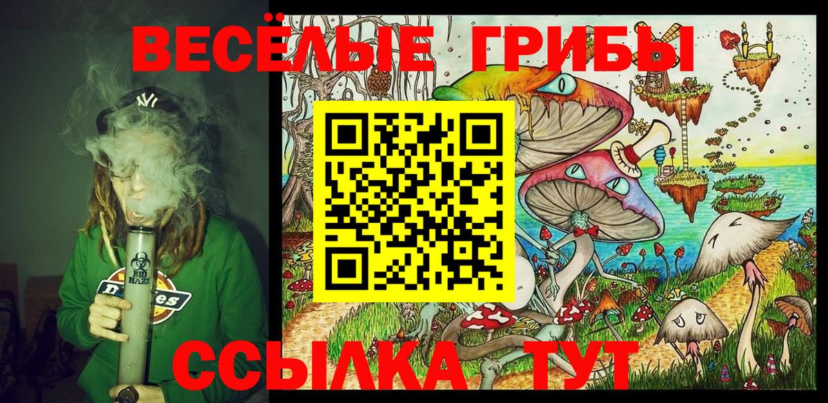 Псилоцибиновые грибы мухоморы  Вход с VPN  Химки 